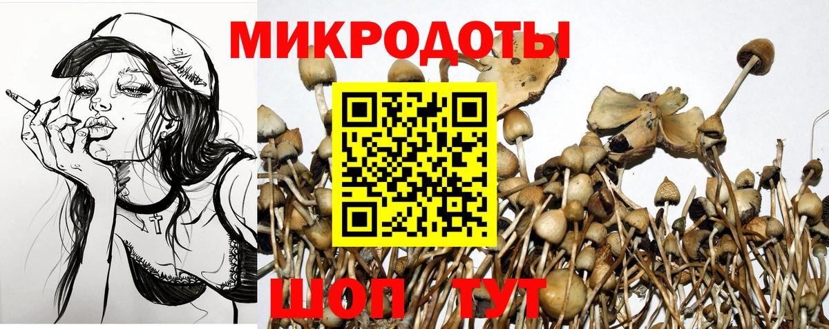 Галлюциногенные грибы Cubensis  Вход с VPN  Алексеевка 