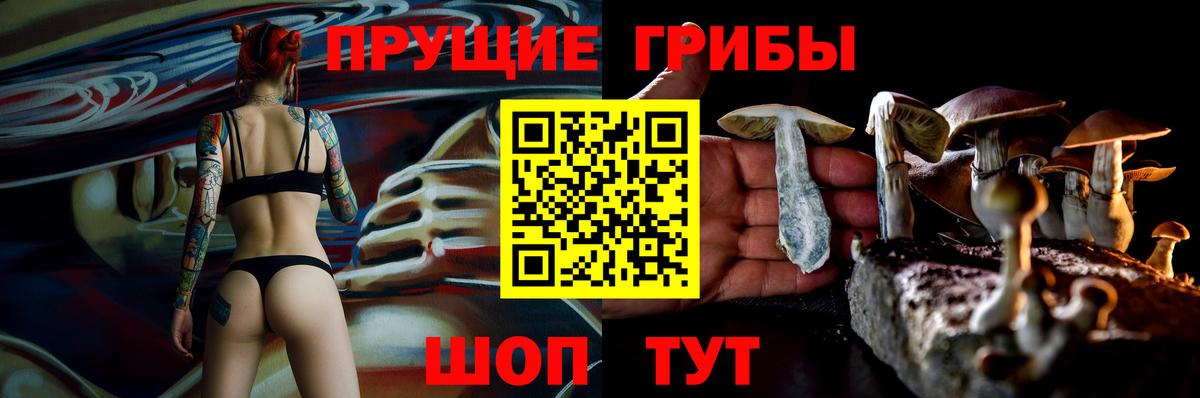 Псилоцибиновые грибы мухоморы Алексеевка